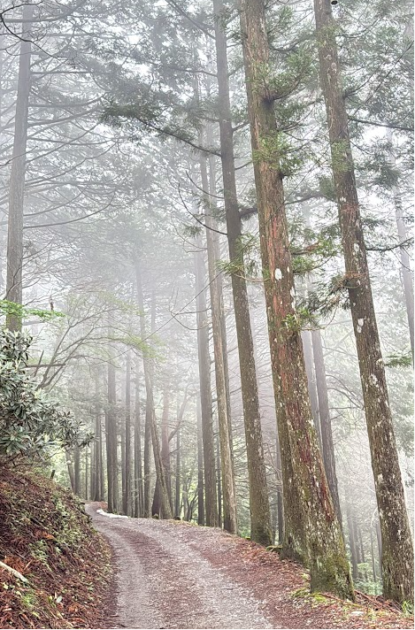 山道