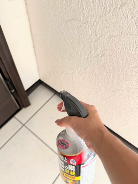 蜘蛛撃退スプレー