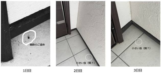 １－３日目